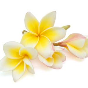 fleur de monoï