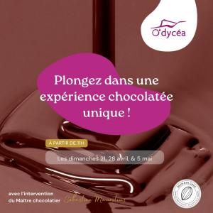 dégustation de chocolat